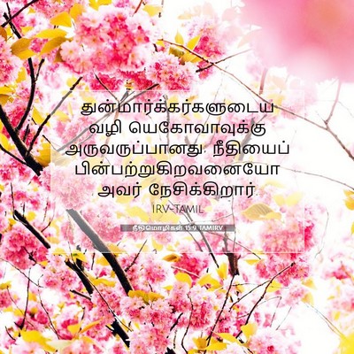 Picture 07 - நீதிமொழிகள் 15:9 TAMIRV -  - Bible Verse Picture