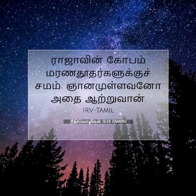 Picture 07 - நீதிமொழிகள் 16:14 TAMIRV - ராஜாவின் கோபம் - Bible Verse Picture