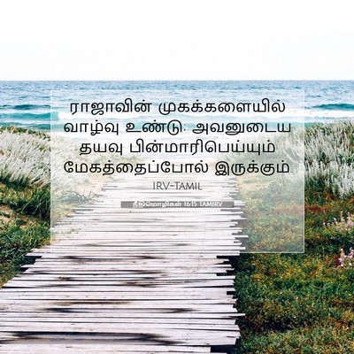 Picture 07 - நீதிமொழிகள் 16:15 TAMIRV - ராஜாவின் - Bible Verse Picture