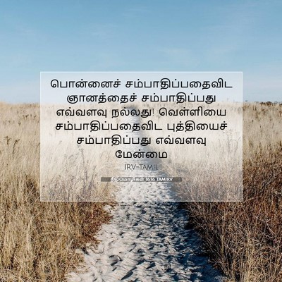 Picture 07 - நீதிமொழிகள் 16:16 TAMIRV - பொன்னைச் - Bible Verse Picture