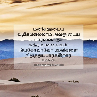 Picture 07 - நீதிமொழிகள் 16:2 TAMIRV - மனிதனுடைய - Bible Verse Picture