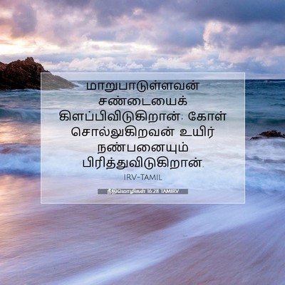 Picture 07 - நீதிமொழிகள் 16:28 TAMIRV - மாறுபாடுள்ளவன் - Bible Verse Picture