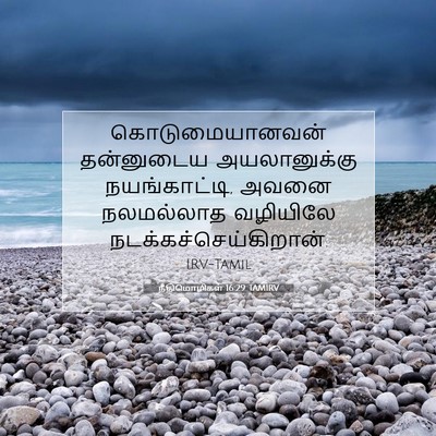 Picture 07 - நீதிமொழிகள் 16:29 TAMIRV - கொடுமையானவன் - Bible Verse Picture