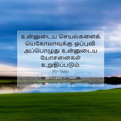 Picture 07 - நீதிமொழிகள் 16:3 TAMIRV - உன்னுடைய - Bible Verse Picture