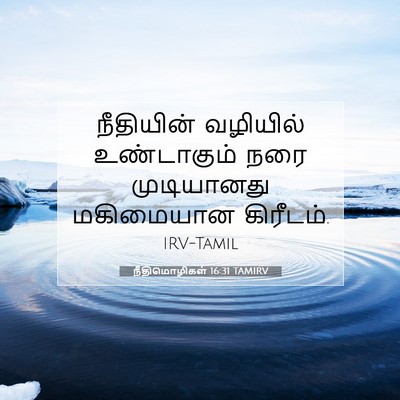 Picture 07 - நீதிமொழிகள் 16:31 TAMIRV - நீதியின் வழியில் - Bible Verse Picture