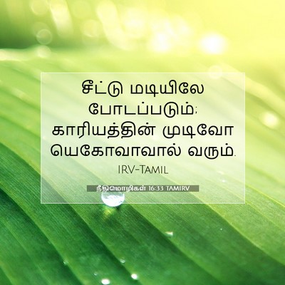 Picture 07 - நீதிமொழிகள் 16:33 TAMIRV - சீட்டு மடியிலே - Bible Verse Picture