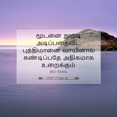 Picture 07 - நீதிமொழிகள் 17:10 TAMIRV - மூடனை நூறடி - Bible Verse Picture