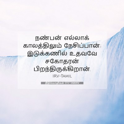 Picture 07 - நீதிமொழிகள் 17:17 TAMIRV - நண்பன் எல்லாக் - Bible Verse Picture