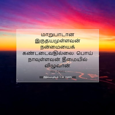 Picture 07 - நீதிமொழிகள் 17:20 TAMIRV - மாறுபாடான - Bible Verse Picture