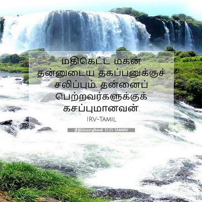 Picture 07 - நீதிமொழிகள் 17:25 TAMIRV - மதிகெட்ட மகன் - Bible Verse Picture