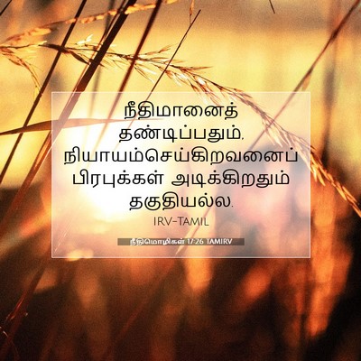 Picture 07 - நீதிமொழிகள் 17:26 TAMIRV - நீதிமானைத் - Bible Verse Picture