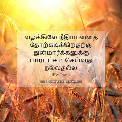 Picture 07 - நீதிமொழிகள் 18:5 TAMIRV - வழக்கிலே - Bible Verse Picture