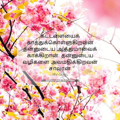 Picture 07 - நீதிமொழிகள் 19:16 TAMIRV - கட்டளையைக் - Bible Verse Picture