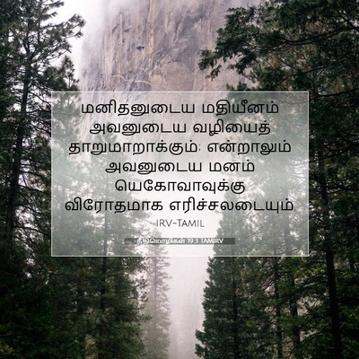 Picture 07 - நீதிமொழிகள் 19:3 TAMIRV - மனிதனுடைய - Bible Verse Picture