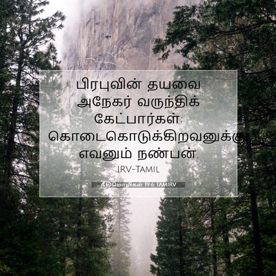 Picture 07 - நீதிமொழிகள் 19:6 TAMIRV - பிரபுவின் தயவை - Bible Verse Picture