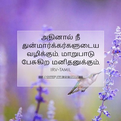 Picture 07 - நீதிமொழிகள் 2:12 TAMIRV - அதினால் நீ - Bible Verse Picture