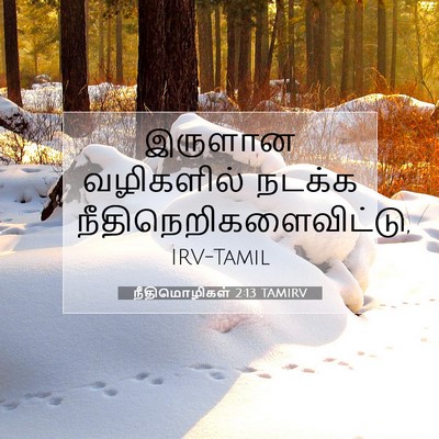 Picture 07 - நீதிமொழிகள் 2:13 TAMIRV - இருளான வழிகளில் - Bible Verse Picture