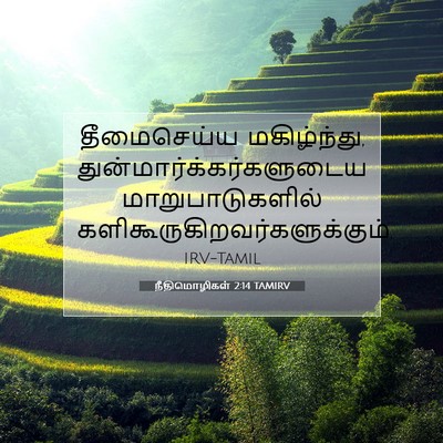 Picture 07 - நீதிமொழிகள் 2:14 TAMIRV - தீமைசெய்ய - Bible Verse Picture