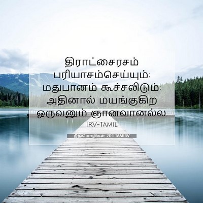 Picture 07 - நீதிமொழிகள் 20:1 TAMIRV - திராட்சைரசம் - Bible Verse Picture