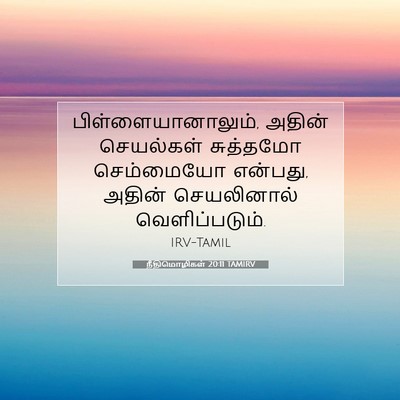Picture 07 - நீதிமொழிகள் 20:11 TAMIRV - பிள்ளையானாலும், - Bible Verse Picture