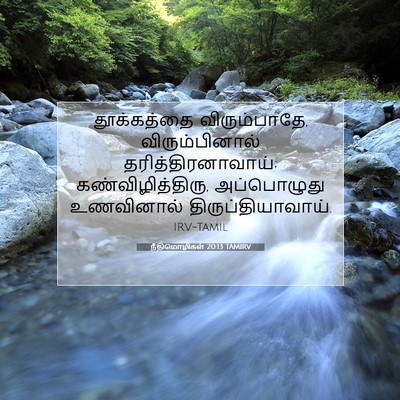 Picture 07 - நீதிமொழிகள் 20:13 TAMIRV - தூக்கத்தை - Bible Verse Picture