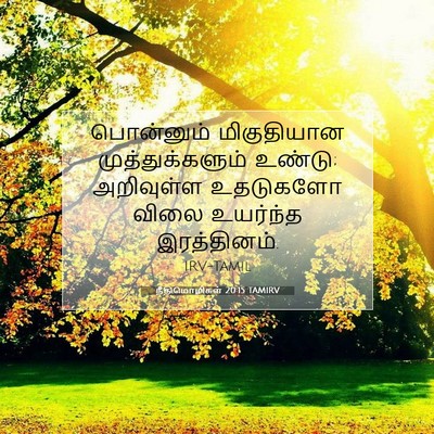 Picture 07 - நீதிமொழிகள் 20:15 TAMIRV - பொன்னும் - Bible Verse Picture