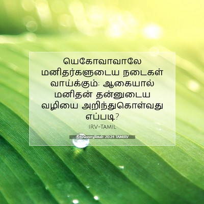 Picture 07 - நீதிமொழிகள் 20:24 TAMIRV - யெகோவாவாலே - Bible Verse Picture