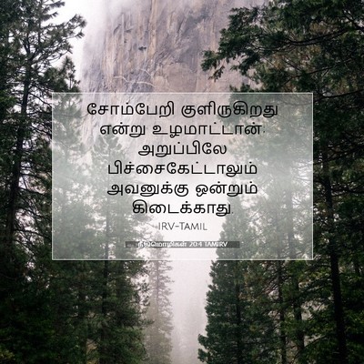 Picture 07 - நீதிமொழிகள் 20:4 TAMIRV - சோம்பேறி - Bible Verse Picture