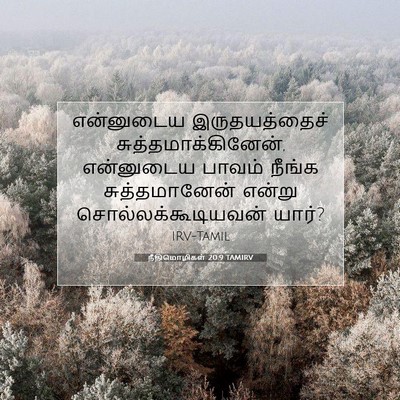 Picture 07 - நீதிமொழிகள் 20:9 TAMIRV - என்னுடைய - Bible Verse Picture