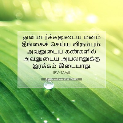 Picture 07 - நீதிமொழிகள் 21:10 TAMIRV - துன்மார்க்கனுடைய - Bible Verse Picture