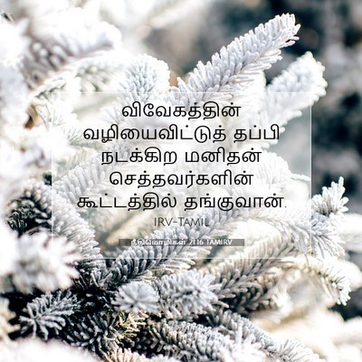 Picture 07 - நீதிமொழிகள் 21:16 TAMIRV - விவேகத்தின் - Bible Verse Picture