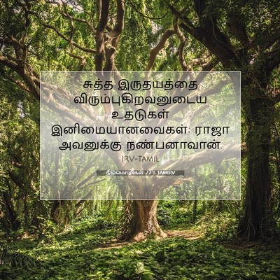 Picture 07 - நீதிமொழிகள் 22:11 TAMIRV - சுத்த இருதயத்தை - Bible Verse Picture