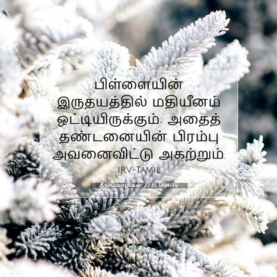 Picture 07 - நீதிமொழிகள் 22:15 TAMIRV - பிள்ளையின் - Bible Verse Picture