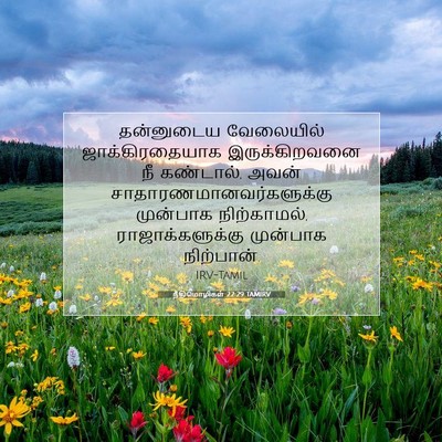 Picture 07 - நீதிமொழிகள் 22:29 TAMIRV - தன்னுடைய வேலையில் - Bible Verse Picture