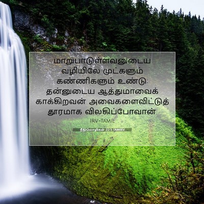 Picture 07 - நீதிமொழிகள் 22:5 TAMIRV -  - Bible Verse Picture