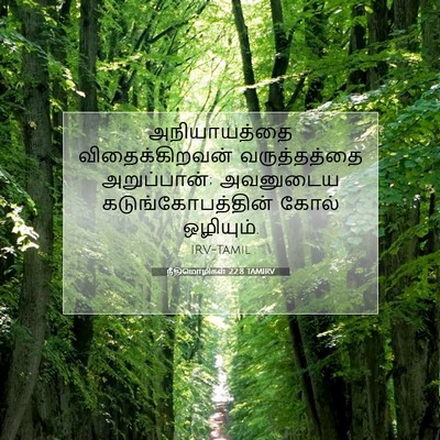 Picture 07 - நீதிமொழிகள் 22:8 TAMIRV - அநியாயத்தை - Bible Verse Picture