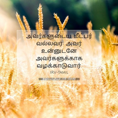 Picture 07 - நீதிமொழிகள் 23:11 TAMIRV - அவர்களுடைய - Bible Verse Picture