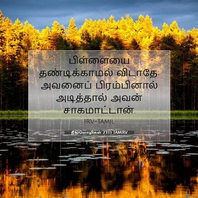 Picture 07 - நீதிமொழிகள் 23:13 TAMIRV - பிள்ளையை - Bible Verse Picture