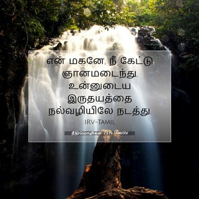 Picture 07 - நீதிமொழிகள் 23:19 TAMIRV - என் மகனே, நீ கேட்டு - Bible Verse Picture