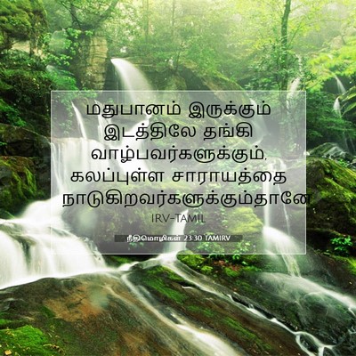 Picture 07 - நீதிமொழிகள் 23:30 TAMIRV - மதுபானம் - Bible Verse Picture