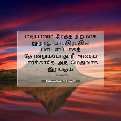 Picture 07 - நீதிமொழிகள் 23:31 TAMIRV - மதுபானம் இரத்த - Bible Verse Picture