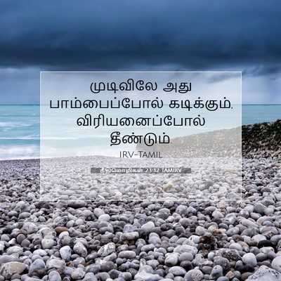 Picture 07 - நீதிமொழிகள் 23:32 TAMIRV - முடிவிலே அது - Bible Verse Picture