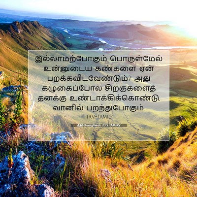Picture 07 - நீதிமொழிகள் 23:5 TAMIRV - இல்லாமற்போகும் - Bible Verse Picture