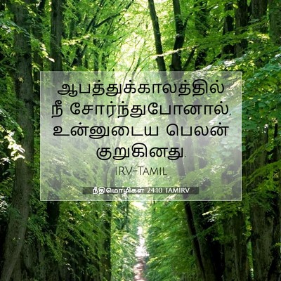 Picture 07 - நீதிமொழிகள் 24:10 TAMIRV -  - Bible Verse Picture