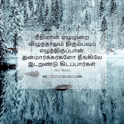 Picture 07 - நீதிமொழிகள் 24:16 TAMIRV - நீதிமான் ஏழுமுறை - Bible Verse Picture