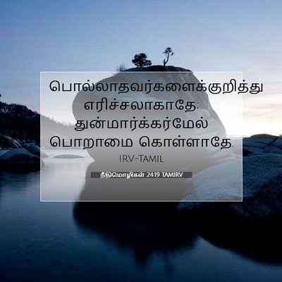 Picture 07 - நீதிமொழிகள் 24:19 TAMIRV -  - Bible Verse Picture