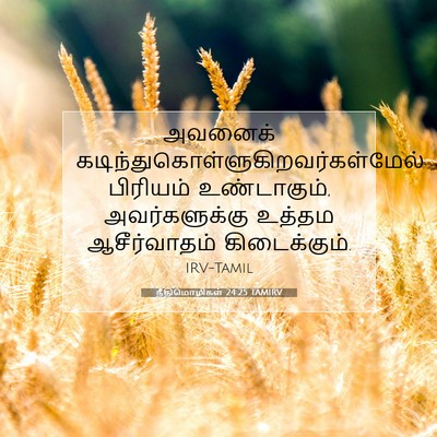 Picture 07 - நீதிமொழிகள் 24:25 TAMIRV - அவனைக் - Bible Verse Picture