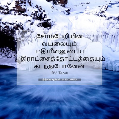 Picture 07 - நீதிமொழிகள் 24:30 TAMIRV - சோம்பேறியின் - Bible Verse Picture