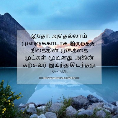 Picture 07 - நீதிமொழிகள் 24:31 TAMIRV - இதோ, அதெல்லாம் - Bible Verse Picture