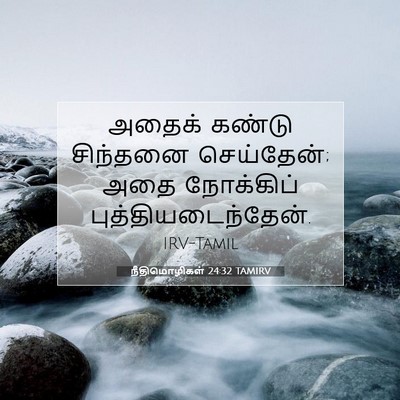 Picture 07 - நீதிமொழிகள் 24:32 TAMIRV - அதைக் கண்டு - Bible Verse Picture